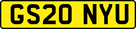 GS20NYU