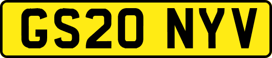 GS20NYV