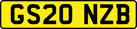 GS20NZB