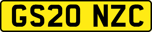 GS20NZC