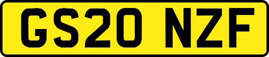 GS20NZF