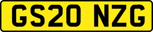 GS20NZG