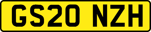 GS20NZH