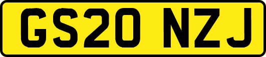 GS20NZJ