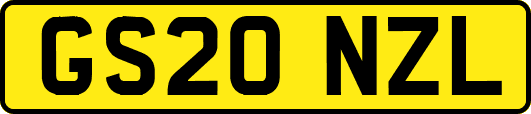 GS20NZL