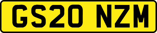 GS20NZM