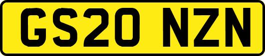 GS20NZN