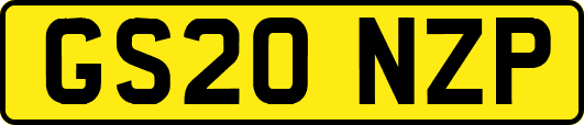 GS20NZP