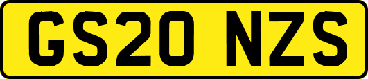 GS20NZS