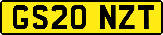 GS20NZT