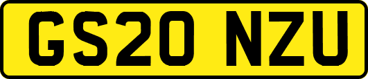 GS20NZU