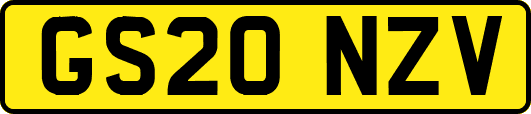 GS20NZV