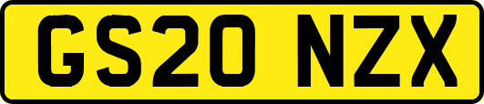 GS20NZX