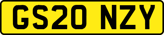 GS20NZY