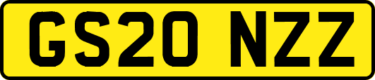 GS20NZZ