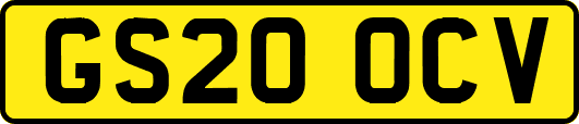 GS20OCV