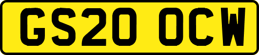 GS20OCW