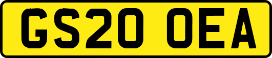 GS20OEA