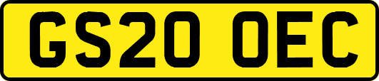 GS20OEC