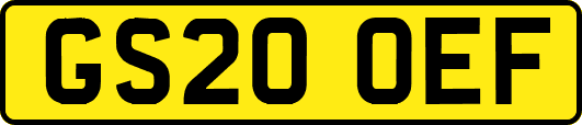 GS20OEF