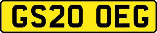 GS20OEG