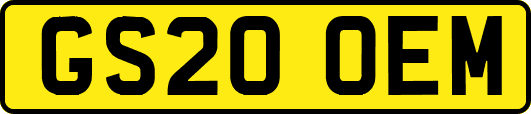 GS20OEM