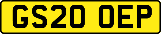 GS20OEP