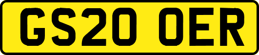GS20OER