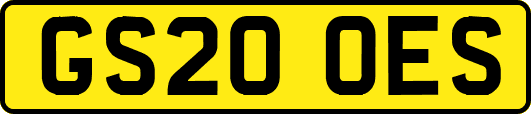 GS20OES
