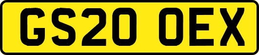 GS20OEX