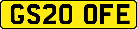 GS20OFE
