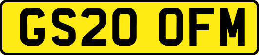 GS20OFM