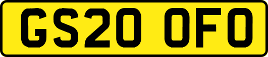 GS20OFO