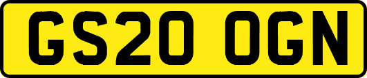 GS20OGN