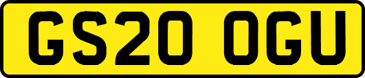 GS20OGU