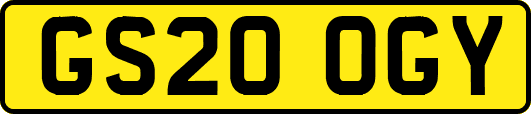 GS20OGY