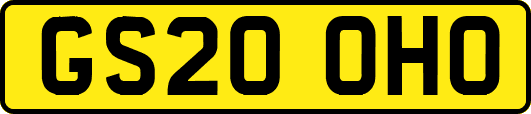 GS20OHO