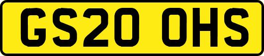 GS20OHS