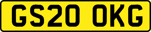 GS20OKG