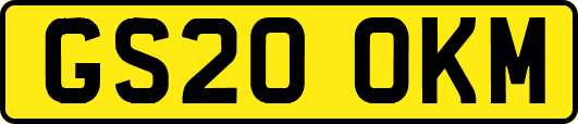 GS20OKM