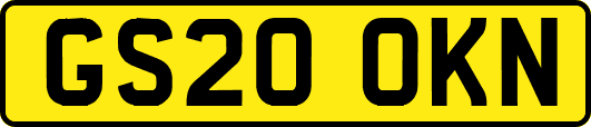 GS20OKN