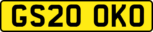 GS20OKO