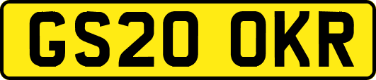 GS20OKR