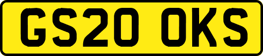 GS20OKS