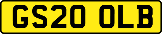 GS20OLB