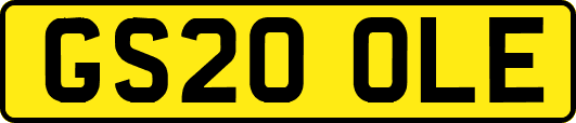 GS20OLE