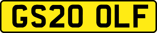 GS20OLF