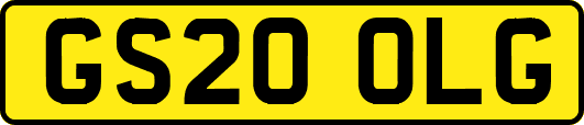 GS20OLG