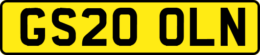 GS20OLN
