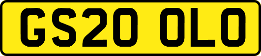 GS20OLO